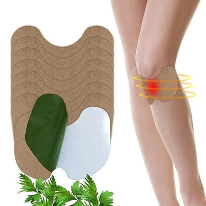 Premium Herbal Knee Pain Relief Patches 🌿 BUY 1 GET 1 FREE! FLAT Rs. 100 OFF on Pre-Paid Orders!